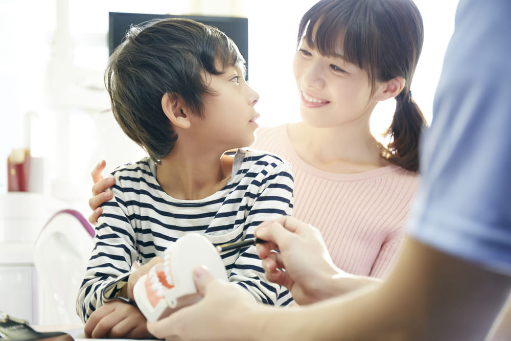 歯の生え変わりに応じた小児矯正をご案内します