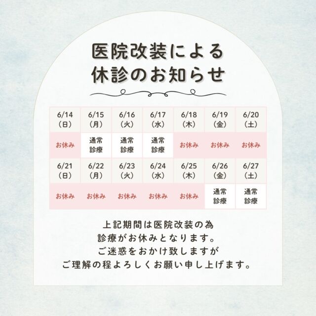 こんにちは！
ともファミリー歯科です😊
6月休診のお知らせをいたします。

6月に医院の改装を予定している為、
画像スケジュールのとおり休診となります🙇‍♂️

ご迷惑をおかけ致しますが
ご理解の程よろしくお願い申し上げます。

[6月26日(金)] より通常通り診療を開始いたします。
期間中に気になることがあった方も、
お気軽にご相談ください❗️

⬇️HPもぜひご覧下さい⬇️
https://www.tomo-dent.com/

#歯科医院　#歯ブラシ　#小児歯科　#小児矯正　#小児　#求人　#大阪府　#大阪市　#ともファミリー歯科　#歯科助手　#口腔習慣　#口腔機能　#マルチブラケット装置　#マウスピース　#インプラント矯正　#外科的矯正 #フッ素　#休診のお知らせ